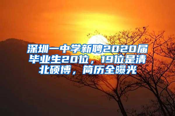 深圳一中学新聘2020届毕业生20位，19位是清北硕博，简历全曝光