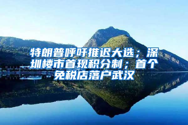 特朗普呼吁推迟大选；深圳楼市首现积分制；首个免税店落户武汉