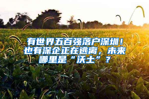 有世界五百强落户深圳！也有深企正在逃离，未来哪里是“沃土”？