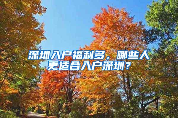 深圳入户福利多，哪些人更适合入户深圳？