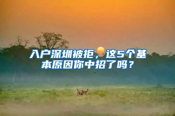 入户深圳被拒，这5个基本原因你中招了吗？