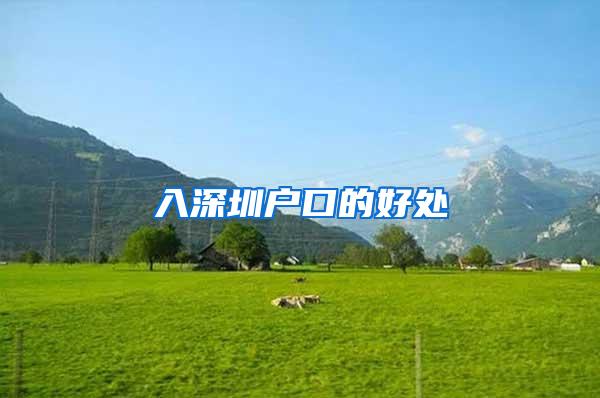 入深圳户口的好处