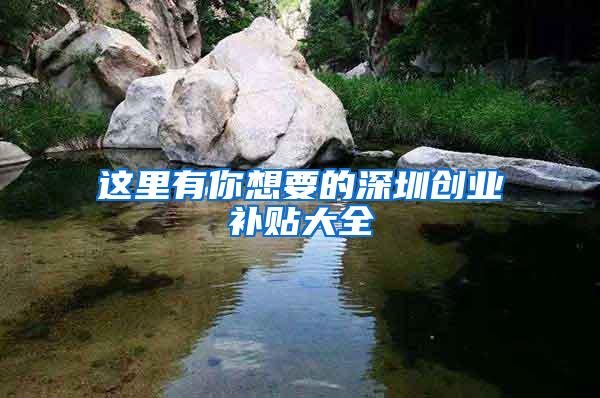 这里有你想要的深圳创业补贴大全
