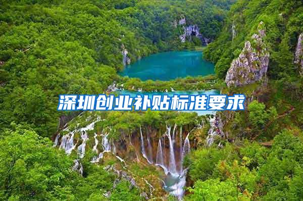 深圳创业补贴标准要求