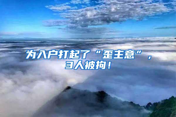 为入户打起了“歪主意”，3人被拘！