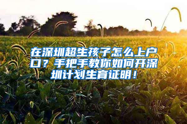 在深圳超生孩子怎么上户口？手把手教你如何开深圳计划生育证明！