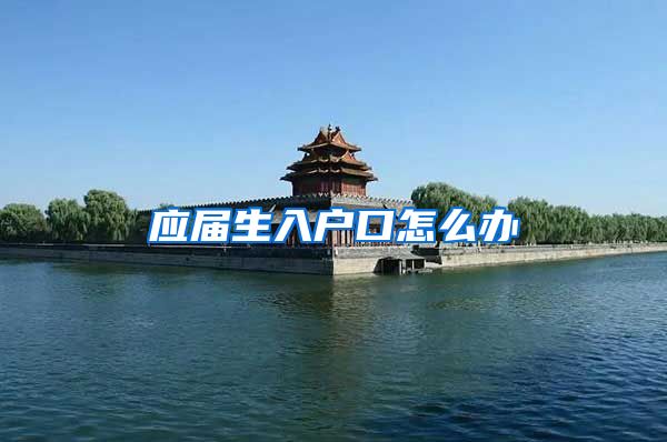 应届生入户口怎么办