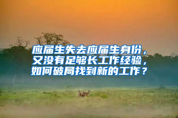 应届生失去应届生身份，又没有足够长工作经验，如何破局找到新的工作？