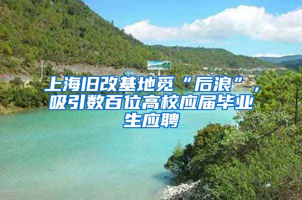 上海旧改基地觅“后浪”，吸引数百位高校应届毕业生应聘
