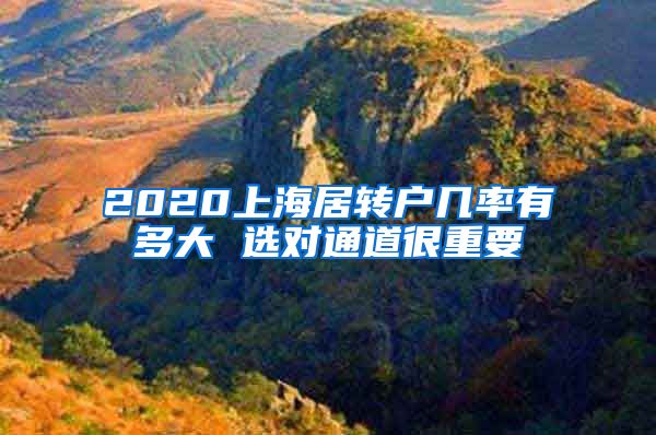 2020上海居转户几率有多大 选对通道很重要