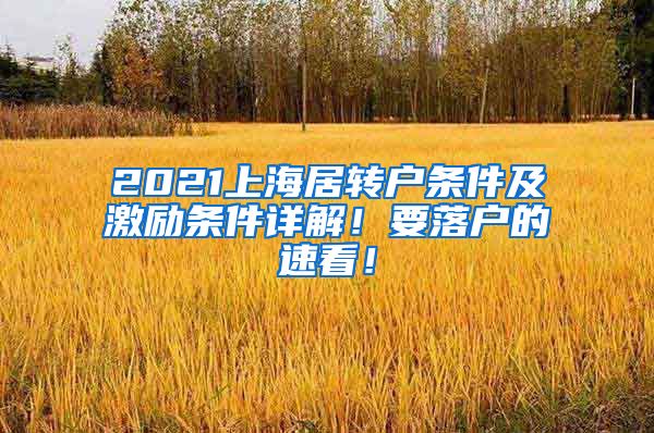 2021上海居转户条件及激励条件详解！要落户的速看！