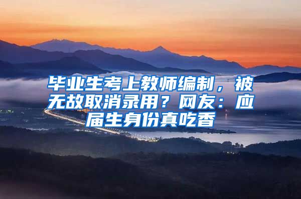 毕业生考上教师编制，被无故取消录用？网友：应届生身份真吃香