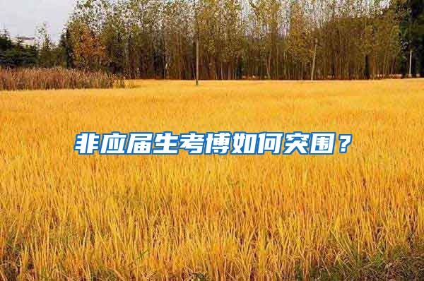 非应届生考博如何突围？