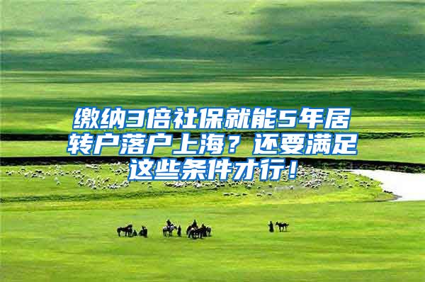 缴纳3倍社保就能5年居转户落户上海？还要满足这些条件才行！