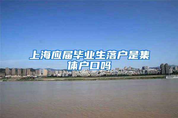 上海应届毕业生落户是集体户口吗