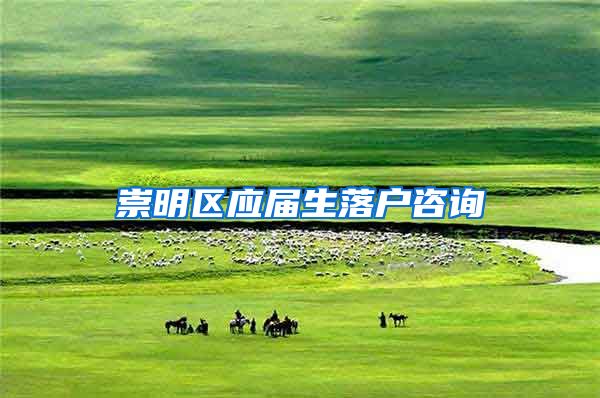 崇明区应届生落户咨询