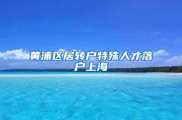 黄浦区居转户特殊人才落户上海