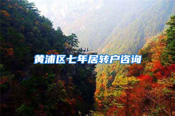 黄浦区七年居转户咨询