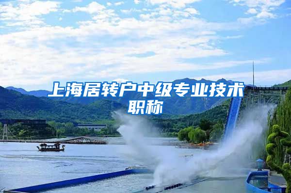 上海居转户中级专业技术职称