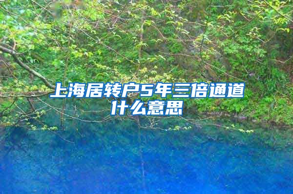 上海居转户5年三倍通道什么意思