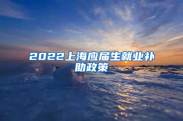2022上海应届生就业补助政策