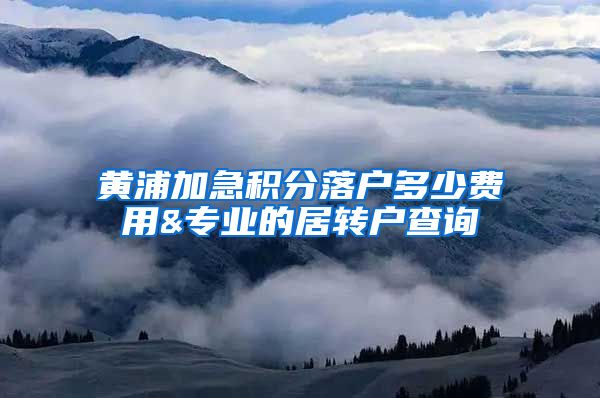 黄浦加急积分落户多少费用&专业的居转户查询