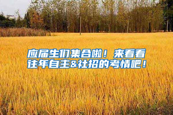 应届生们集合啦！来看看往年自主&社招的考情吧！