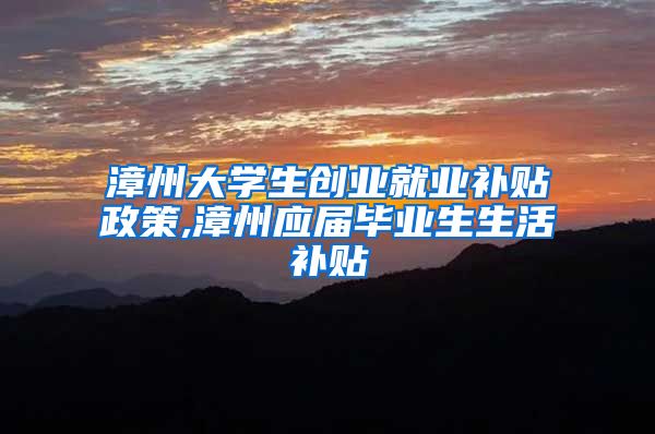 漳州大学生创业就业补贴政策,漳州应届毕业生生活补贴