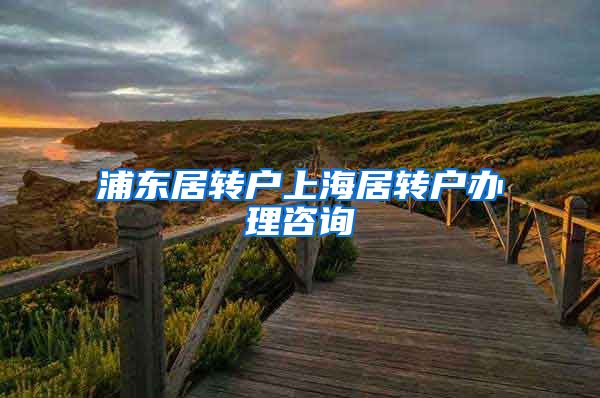 浦东居转户上海居转户办理咨询
