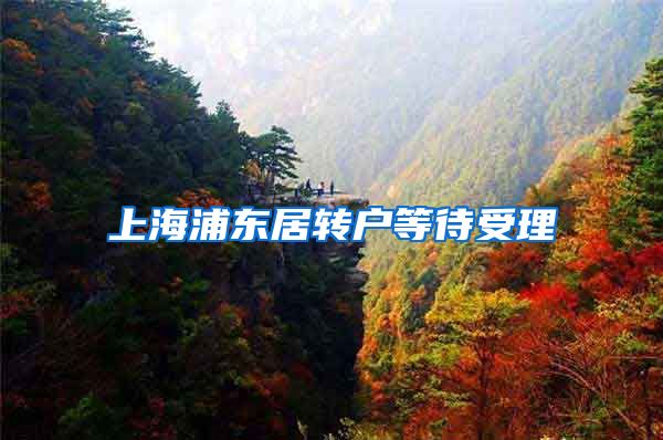 上海浦东居转户等待受理