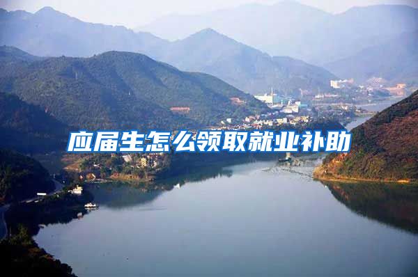 应届生怎么领取就业补助