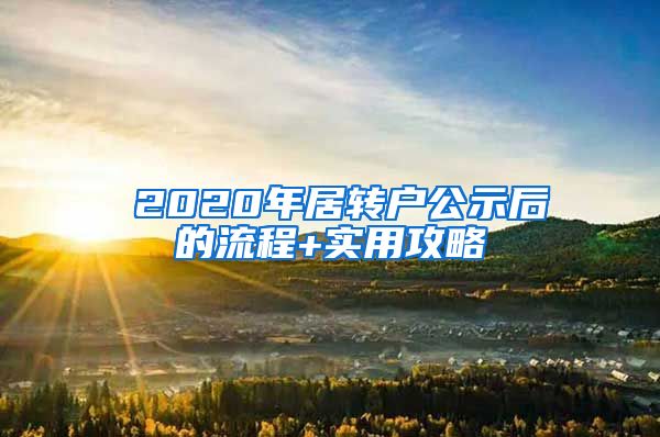 ☆2020年居转户公示后的流程+实用攻略