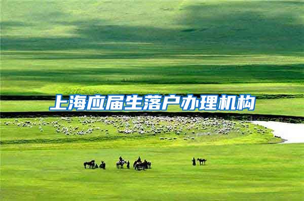 上海应届生落户办理机构