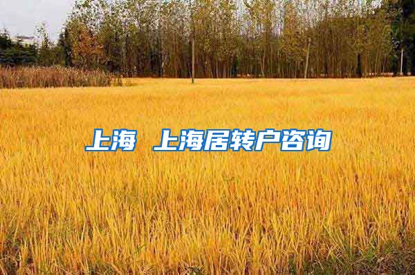 上海 上海居转户咨询