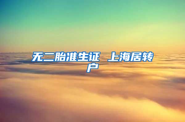 无二胎准生证 上海居转户