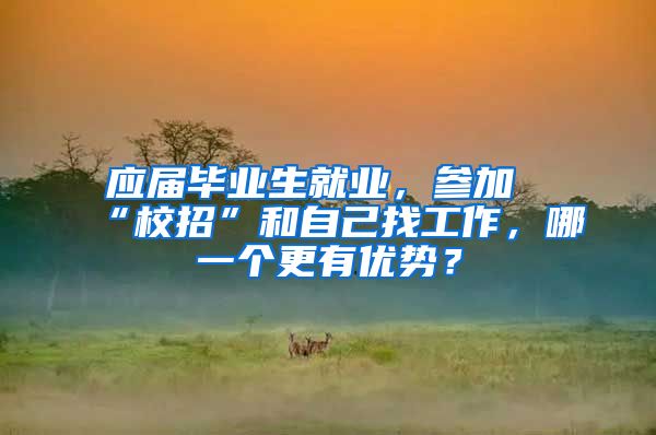 应届毕业生就业，参加“校招”和自己找工作，哪一个更有优势？