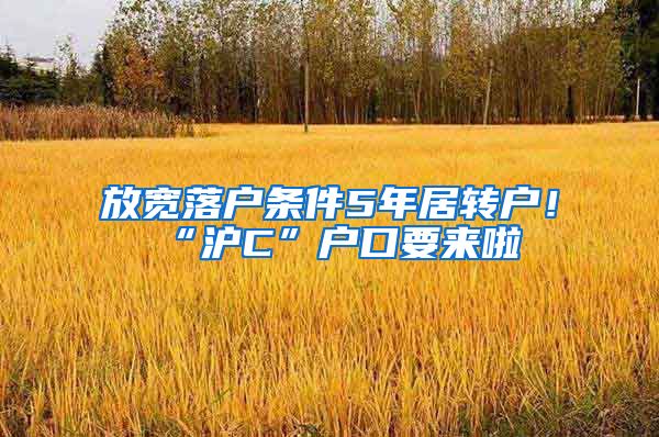 放宽落户条件5年居转户！“沪C”户口要来啦