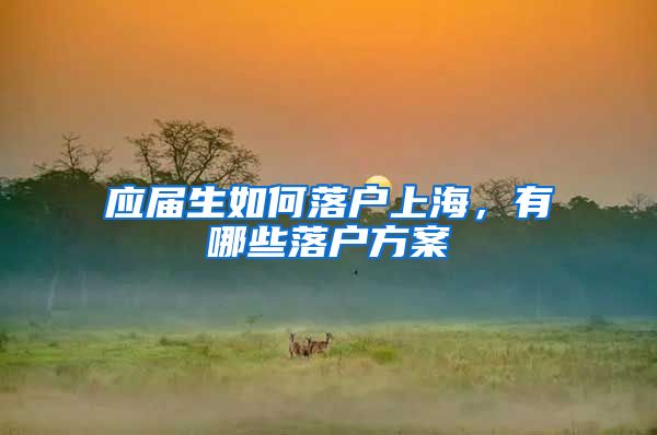 应届生如何落户上海，有哪些落户方案