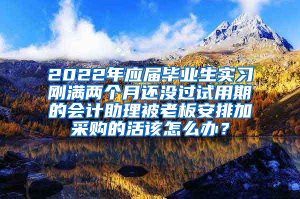 2022年应届毕业生实习刚满两个月还没过试用期的会计助理被老板安排加采购的活该怎么办？
