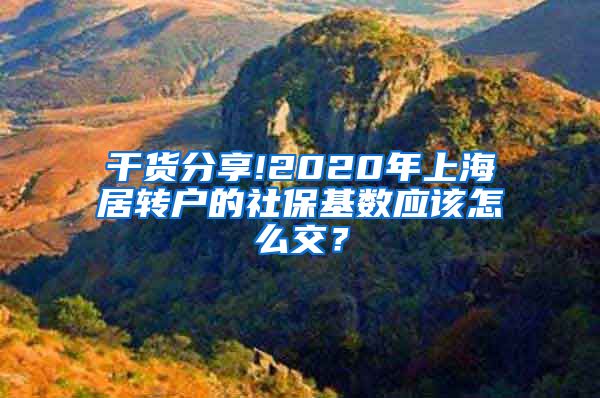 干货分享!2020年上海居转户的社保基数应该怎么交？