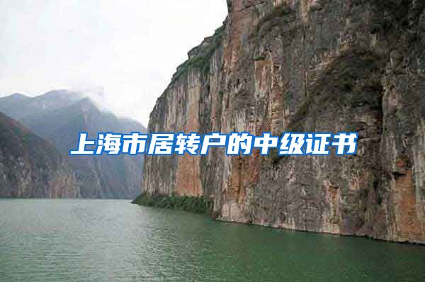 上海市居转户的中级证书
