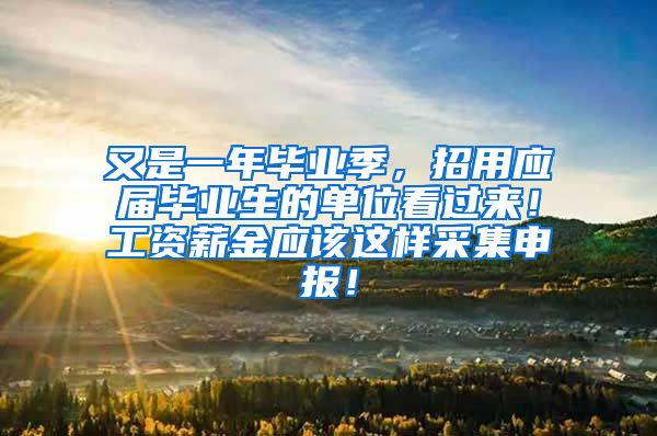 又是一年毕业季，招用应届毕业生的单位看过来！工资薪金应该这样采集申报！