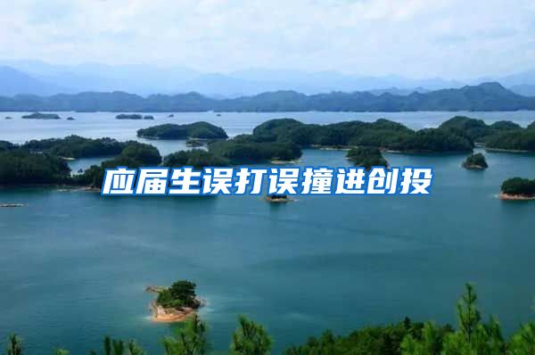 应届生误打误撞进创投