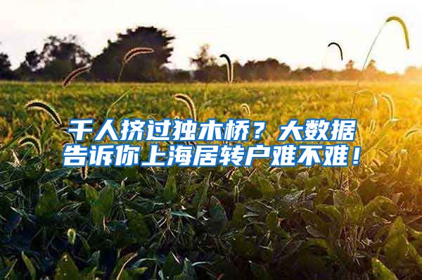 千人挤过独木桥？大数据告诉你上海居转户难不难！