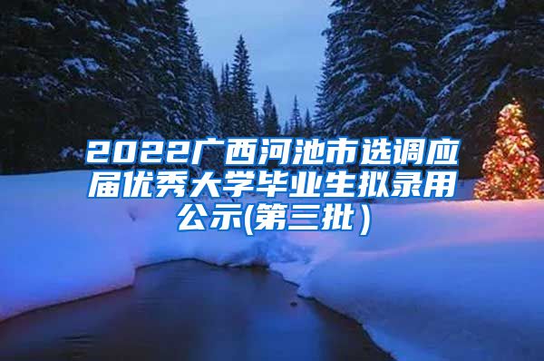 2022广西河池市选调应届优秀大学毕业生拟录用公示(第三批）