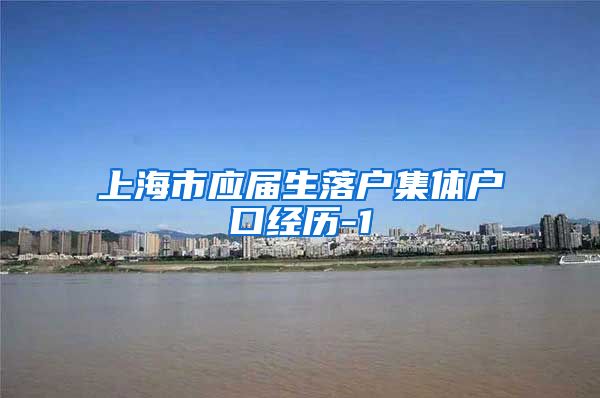 上海市应届生落户集体户口经历-1