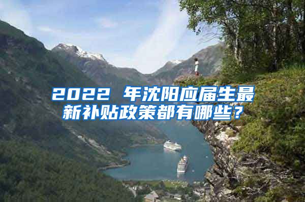 2022 年沈阳应届生最新补贴政策都有哪些？