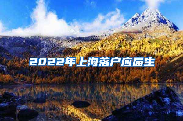 2022年上海落户应届生