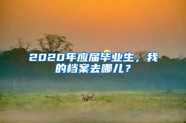 2020年应届毕业生，我的档案去哪儿？