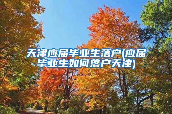 天津应届毕业生落户(应届毕业生如何落户天津)